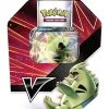 The Pokemon Company International Pokemon Despotar-V Tin Box Sommer 2021 (DE)